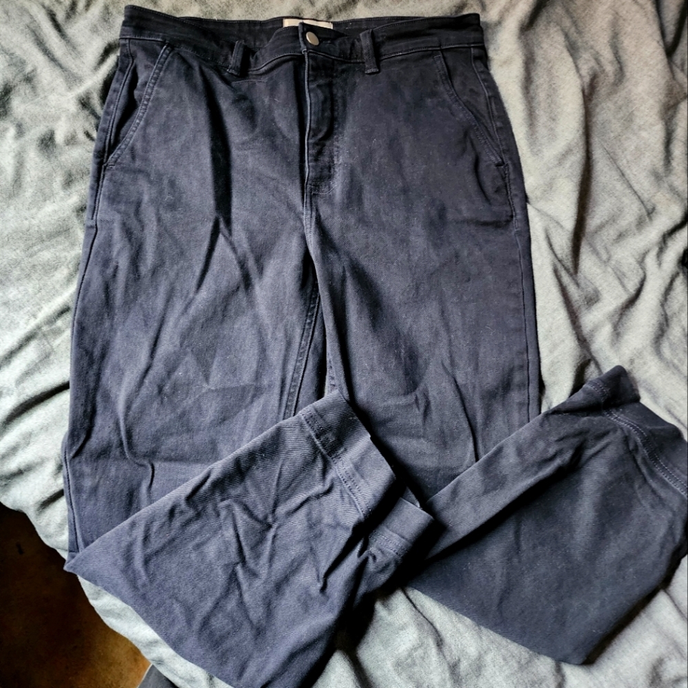 Everlane Size 14 The Slim Leg Crop Regular Navy Blue